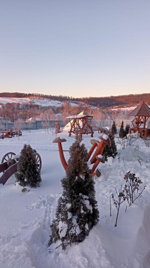 La Capra Vecinului Villa Oglinzi Екстериор снимка
