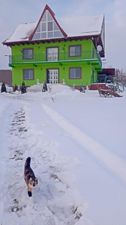 La Capra Vecinului Villa Oglinzi Екстериор снимка